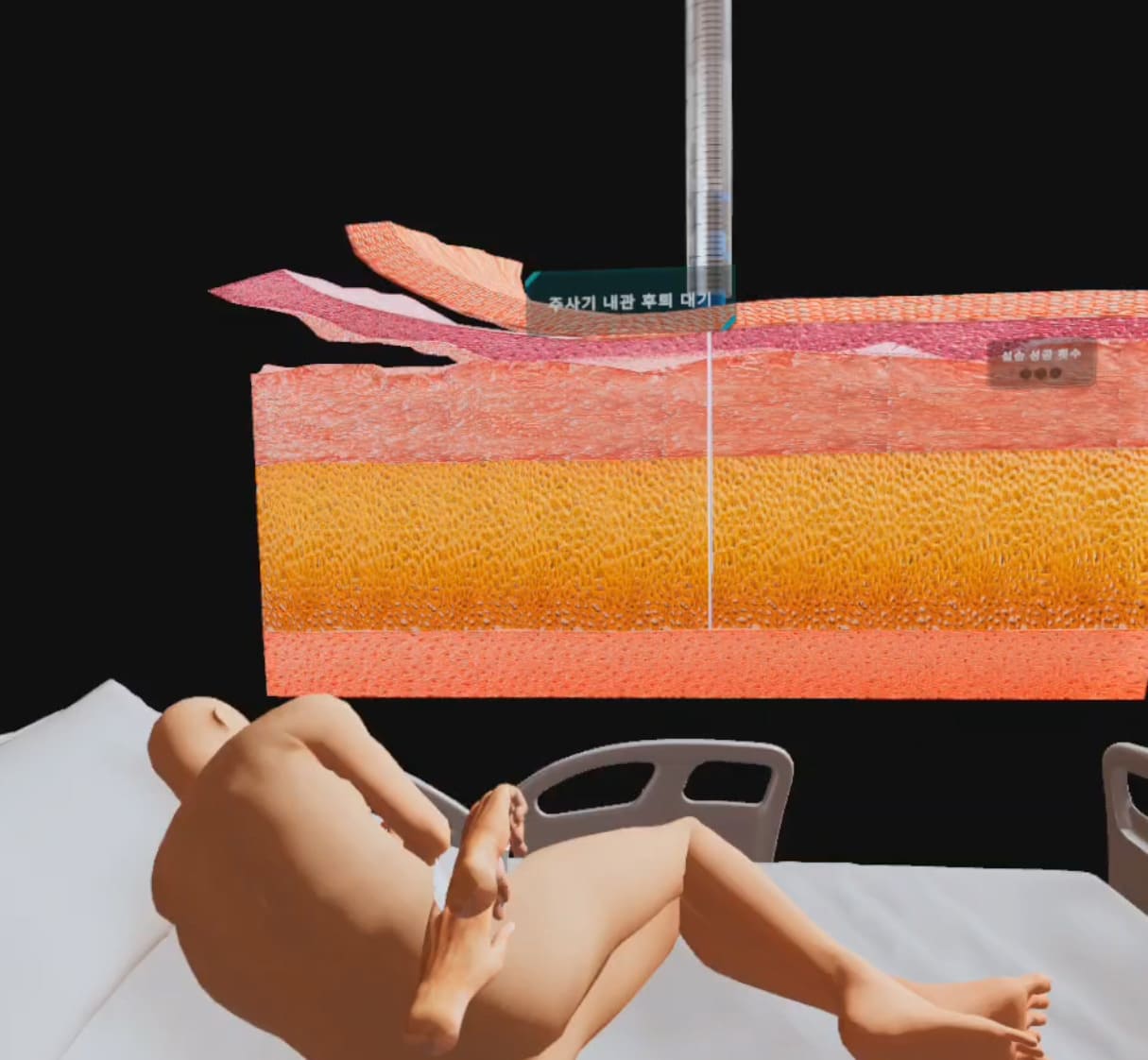 3D 피부 단면 시각화